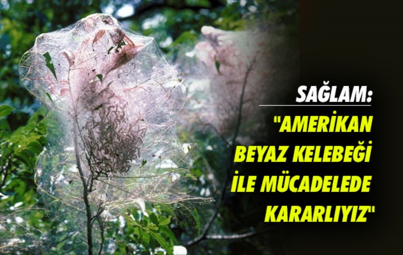 Sağlam: 'Amerikan beyaz kelebeği ile mücadelede kararlıyız'