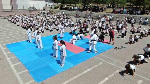 Sivas'ta 450 kişilik karate gösterisi dikkat çekti