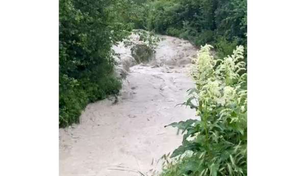 Bolu'da dereler taştı, tarım arazileri sular altında kaldı