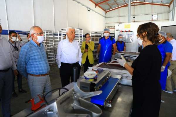 Başkan Gürün, 'Meyve-sebze kurutma' tesisini gezdi 