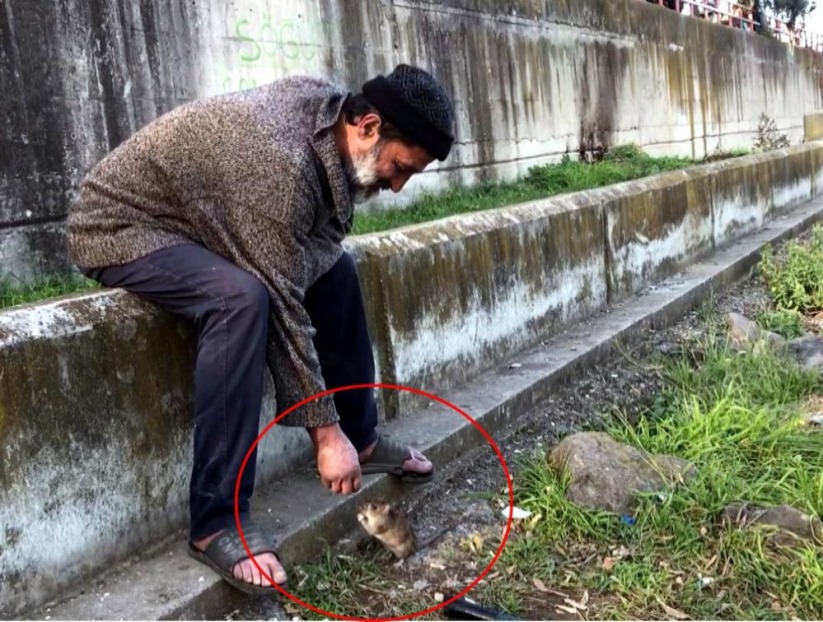 Samsun'da farelerle dostluğu ile bilinen adam, otobüs durağında ölü bulundu
