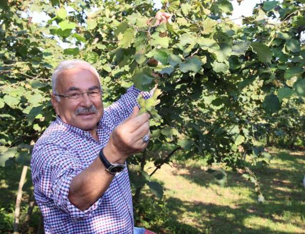 Başkan Güler'den Ferrero'ya karşı tarihi fındık mücadelesi: 'Bu bir milli duruştur'
