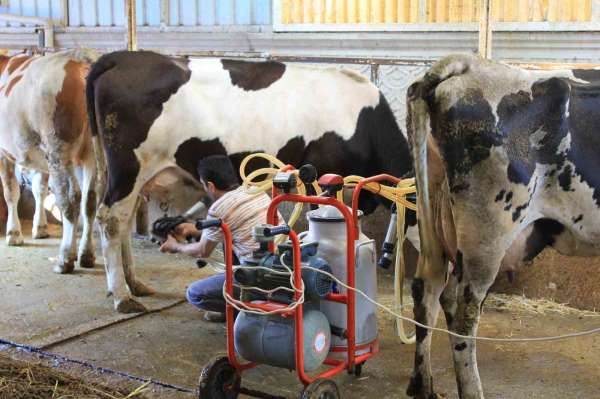 TÜSEDAD'dan çiğ sütte maliyet konusunda iş birliği çağrısı