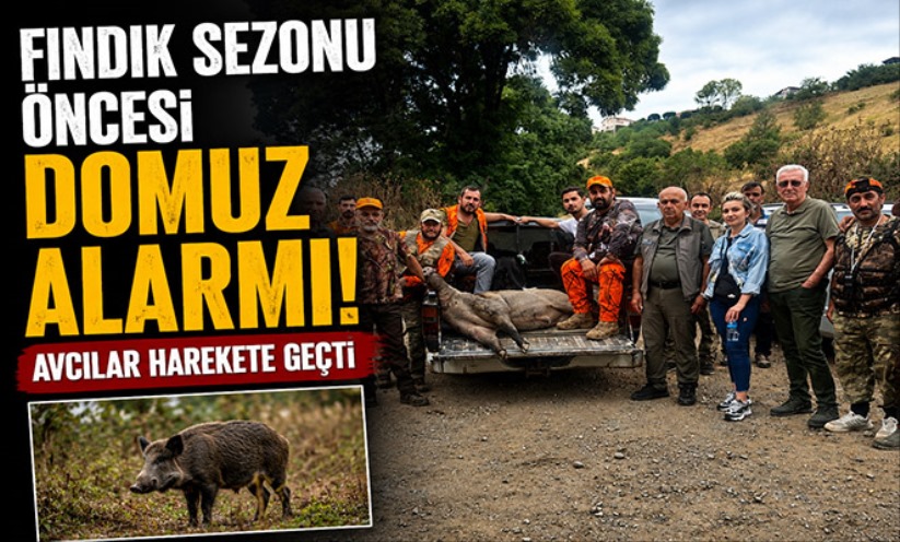 Fındık sezonu öncesi domuz alarmı: Avcılar harekete geçti