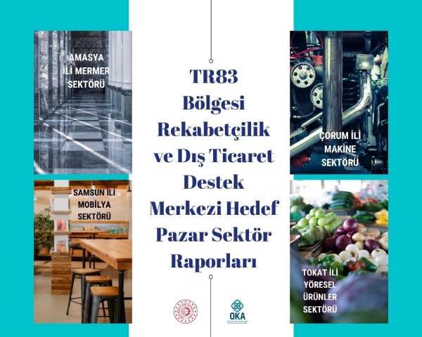 OKA 4 il için hedef pazar sektör raporları hazırladı