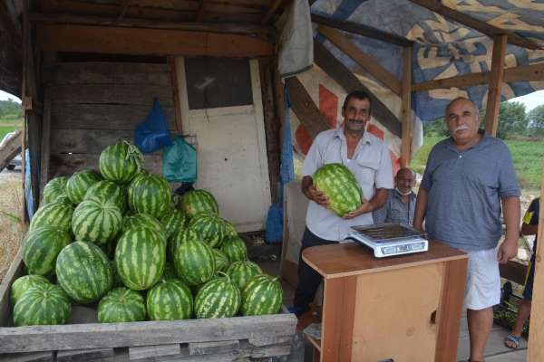 Yetiştirdiği organik karpuzları yol kenarında satıyor 