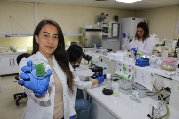Amasya Üniversitesinden diyabetik yaralara umut olacak çalışma
