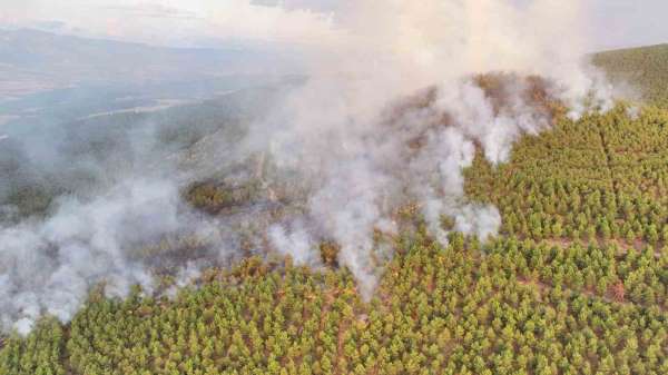 Erbaa Belediye Başkanı Karagöl: '40 hektarlık bir alan yandı diye tahmin ediyoruz'
