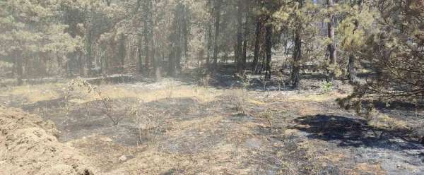 Sinop'taki orman yangınında soğutma çalışmaları sürüyor