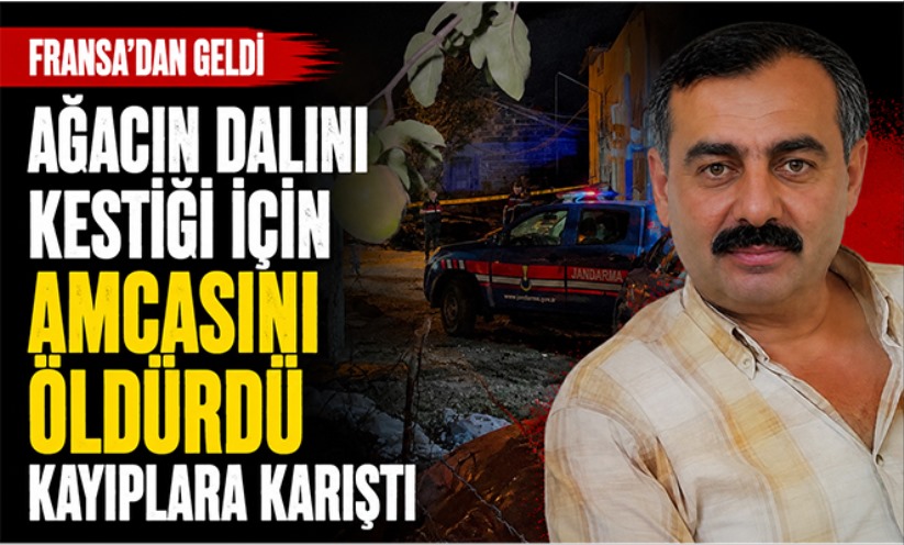 Ağacın dalını kestiği için amcasını öldürdü