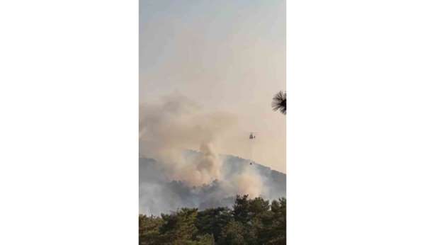Bolu'daki orman yangını kontrol altına alındı