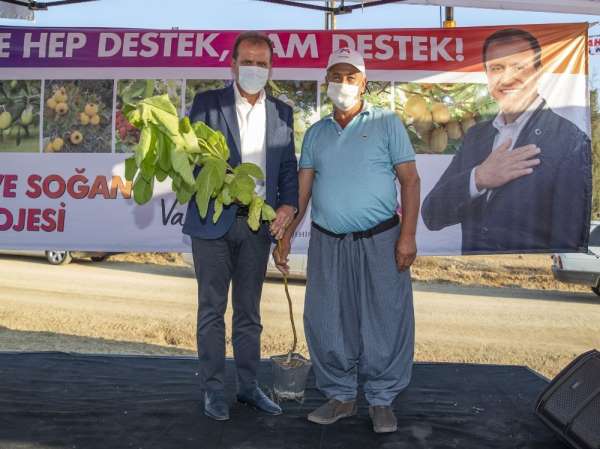 Başkan Seçer, Tarsuslu üreticilere 12 bin 500 incir fidanı dağıttı