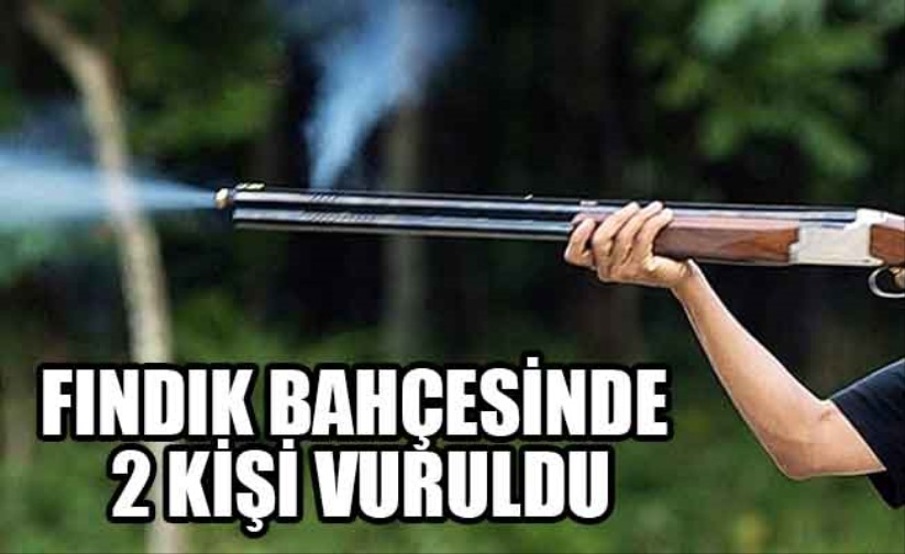 Fındık bahçesinde 2 kişi vuruldu