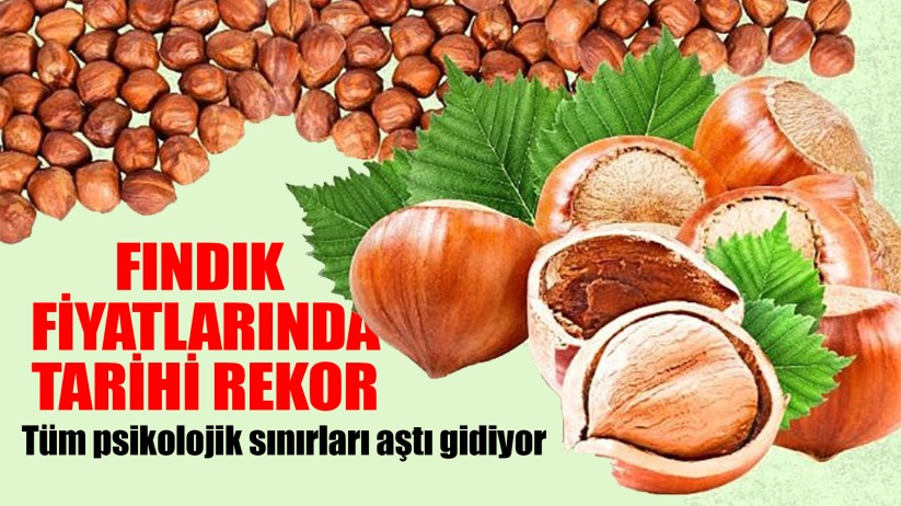 Psikolojik Sınır Aşıldı! Fındık 300 TL!