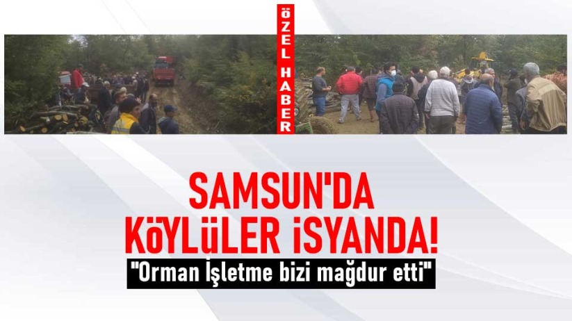 Samsun'da köylüler isyanda! 'Orman İşletme bizi mağdur etti'