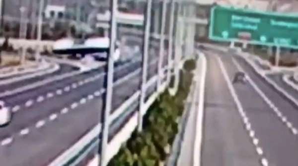 Manisa'da 11 kişinin öldüğü feci kazanın görüntüleri ortaya çıktı
