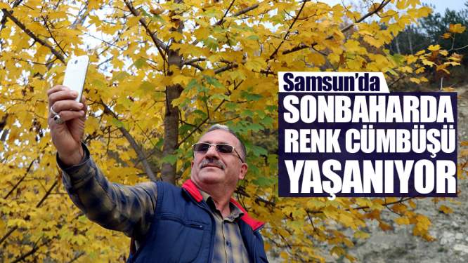 Samsun'da Sonbaharda Renk Cümbüşü Yaşanıyor!