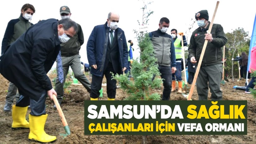 Samsun'da sağlık çalışanları için vefa ormanı
