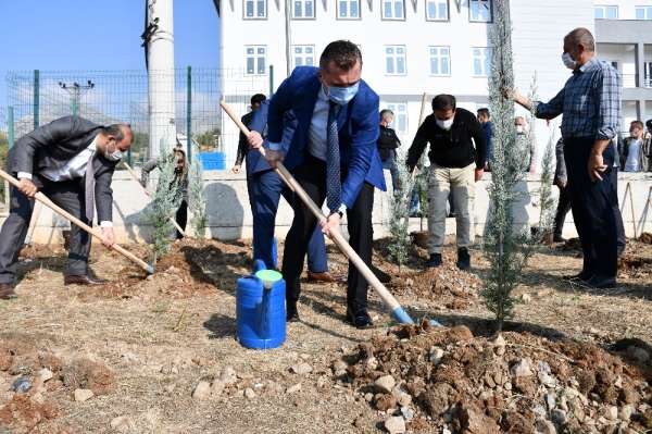 Teröristlerin yaktığı ormanlar yeniden hayat buluyor
