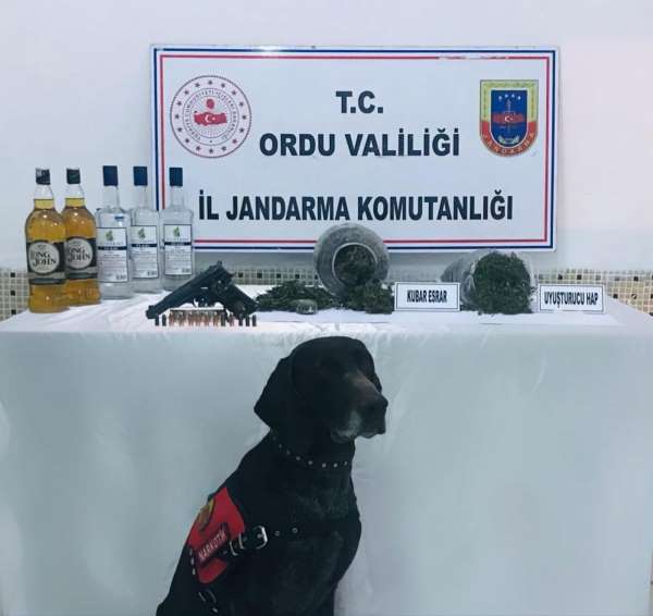 Ordu'da uyuşturucuya geçit yok