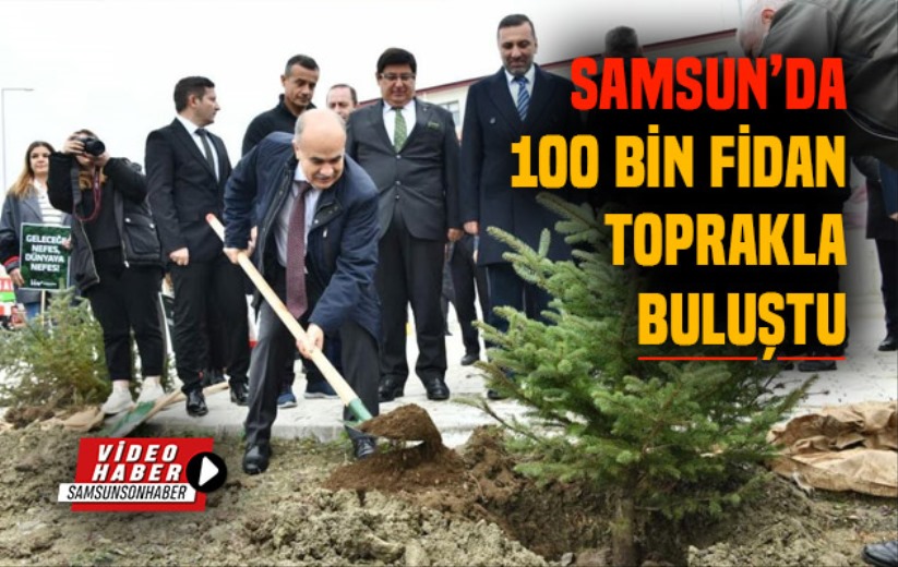 Samsun'da 100 bin fidan toprakla buluştu