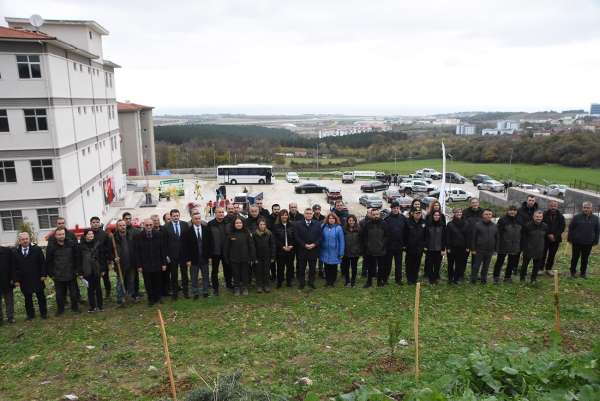 Sinop'ta 11 bin 610 fidan toprakla buluştu