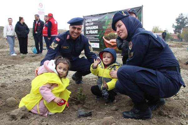 Amasya'da 4 binden fazla fidan toprakla buluştu