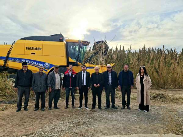 Kulu'da endüstriyel kenevirin hasadı başladı