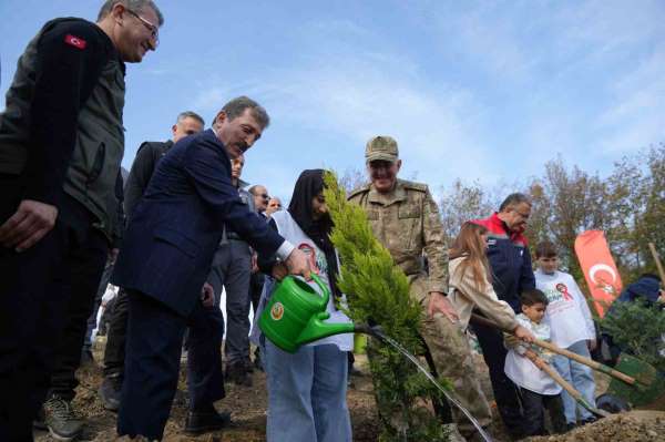 Samsun'da Milli Ağaçlandırma Günü: 37 bin 380 adet fidan toprakla buluştu