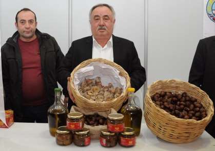 Aydın'ın en meşhur efeleri: İncir, kestane, zeytin