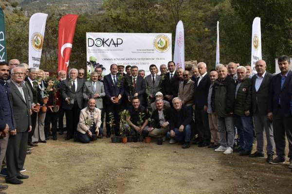 Kürtün süper meyve 'Aronya' ile kalkınacak