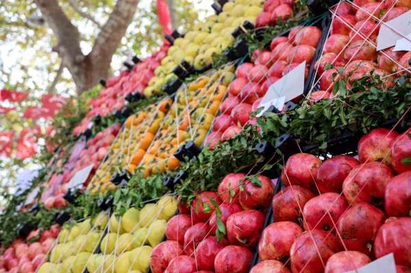 Bilecik nar üretiminde Türkiye'de 16'ncı sırada