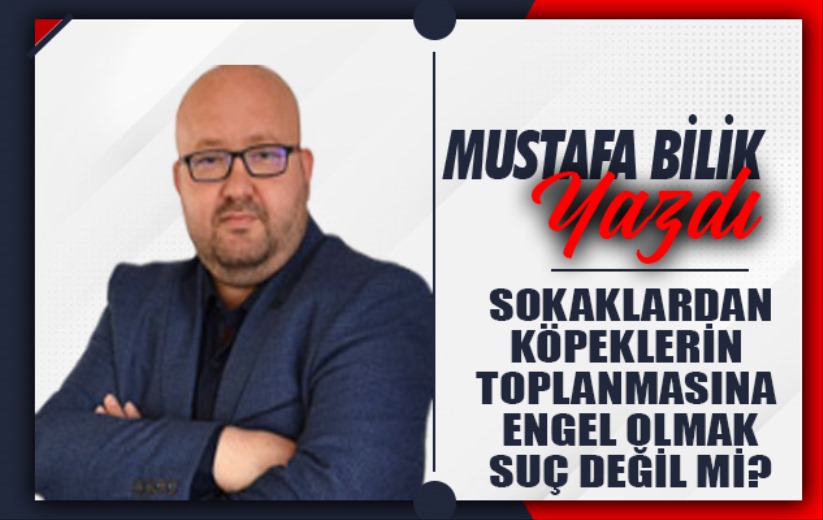 Sokaklardan köpeklerin toplanmasına engel olmak suç değil mi?