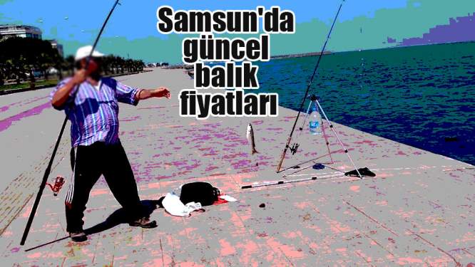 Samsun Haberleri: Samsun'da Balık Fiyatları