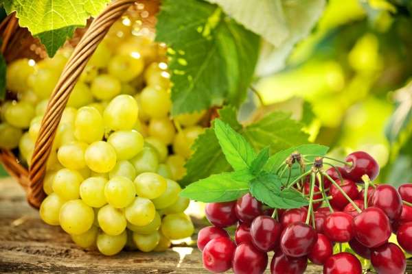 Yaş meyve sebze ve mamulleri UR-GE projeleriyle hedef pazarlara ihraç edilecek 