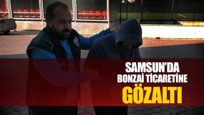 Samsun Haberleri: Samsun'da Bonzai Ticaretine Gözaltı!