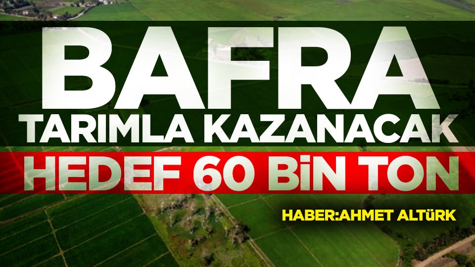 Samsun'un Bafra ilçesinde hedef 60 bin ton şeker pancarı