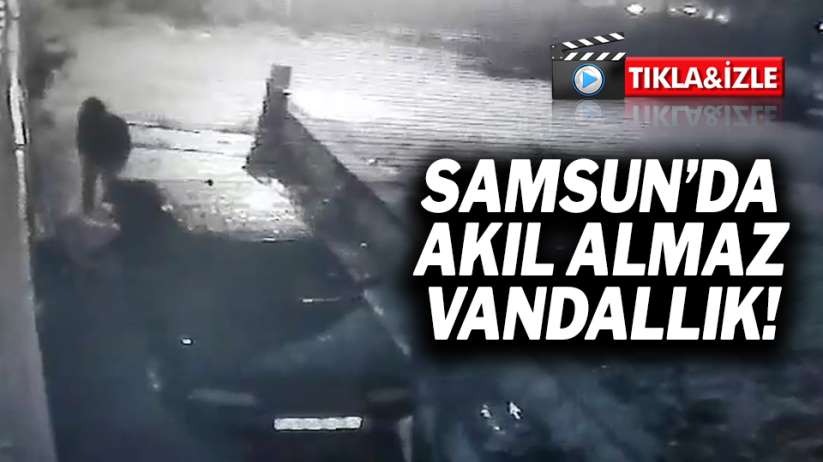 Samsun'da akıl almaz vandallık