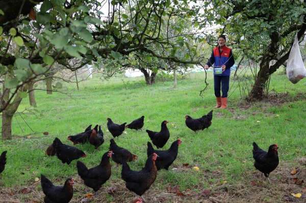 Kocaeli'de kırsal kalkınmaya 'kanatlı' destek