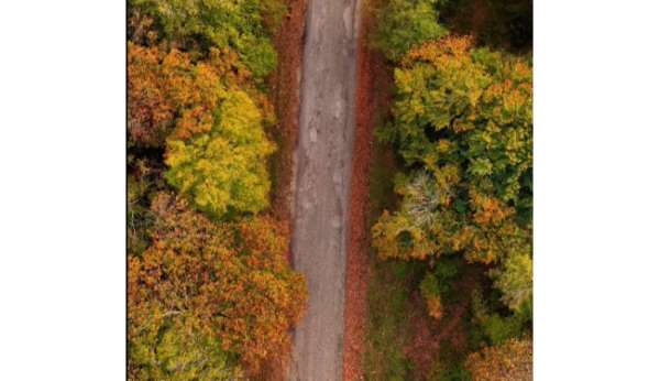 Sinop'ta sonbahar güzelliği