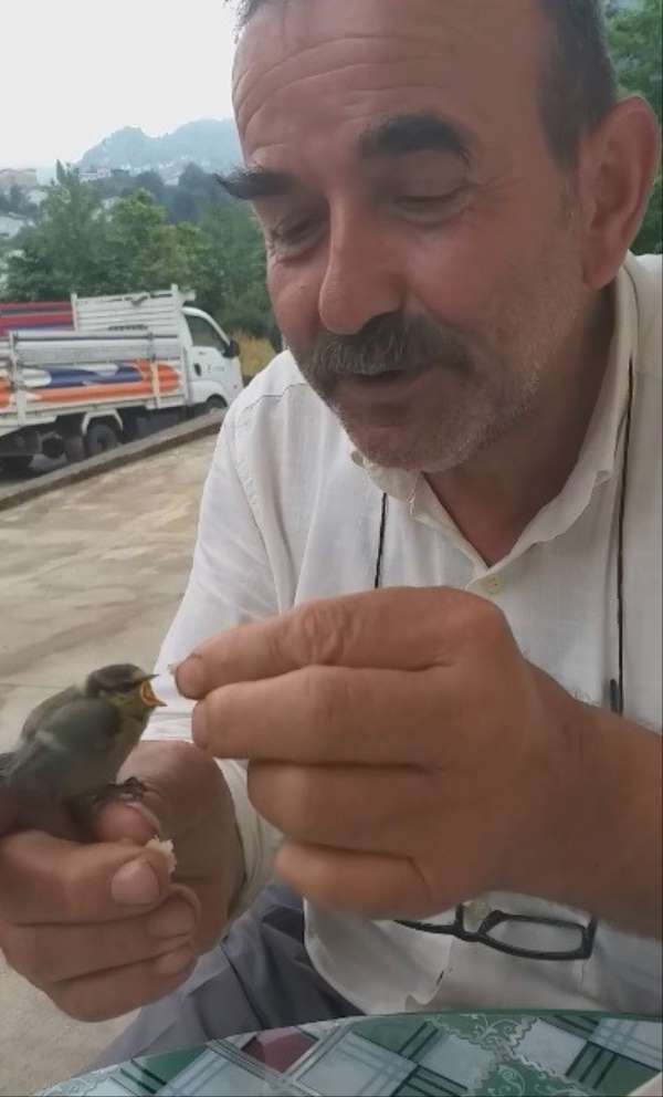 Rizeli'nin kuş sevgisi böyle olur 