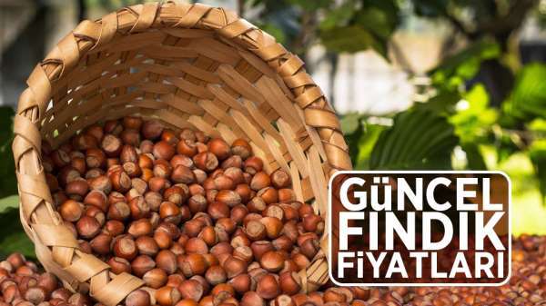 Fındık fiyatları son durum! 11 Ağustos Pazar