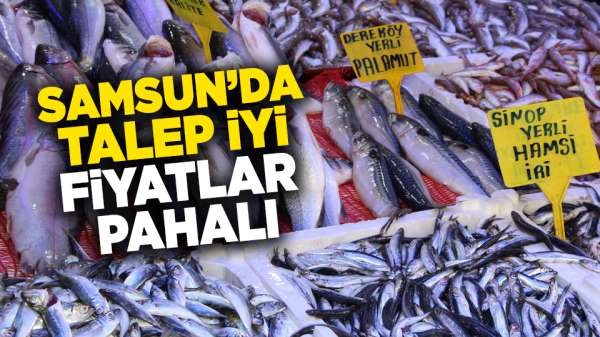 Samsun'da balığa talep iyi ama fiyatlar pahalı!