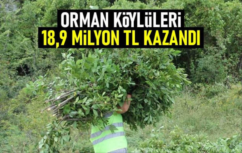 Orman köylüleri 18,9 milyon TL kazandı - Samsun haber