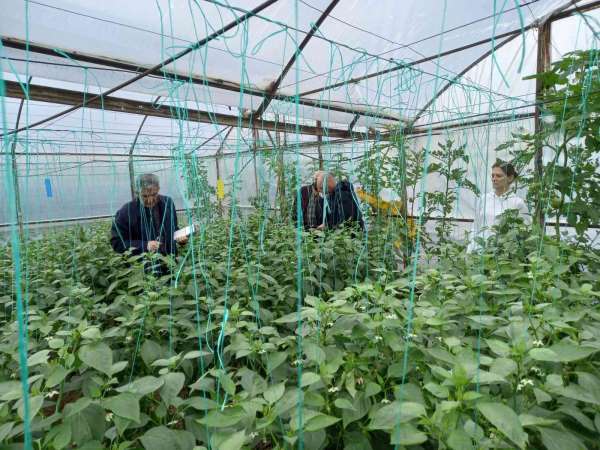 BATEM ve TARSİM ekipleri Antalya'da sel bölgesinde incelemelerde bulundu