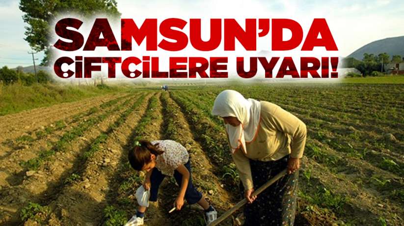 Samsun'da çiftçilere uyarı!
