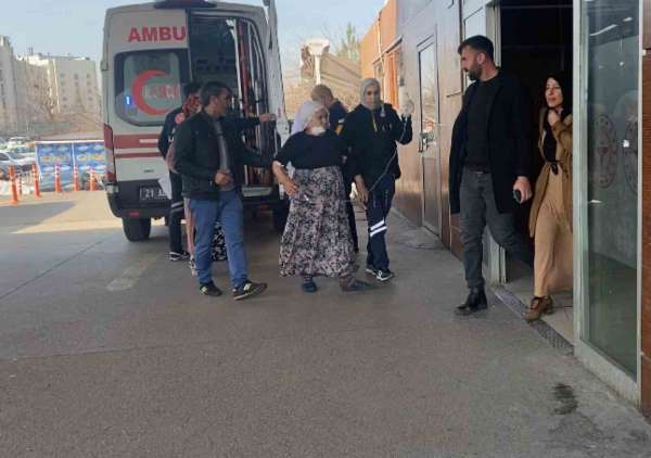 Diyarbakır'da 72 yaşındaki kadın besledikleri köpeğin saldırısına uğradı