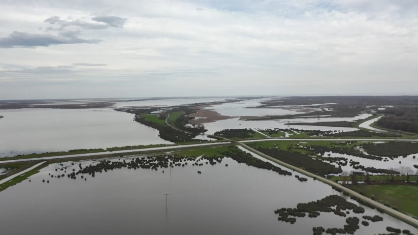 Kızılırmak Deltası eski sulak haline döndü
