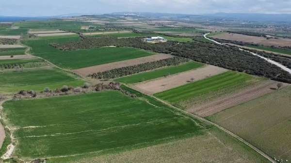 Çanakkale Savaşları'ndan kalma yeni bir şehitlik alanı tespit edildi