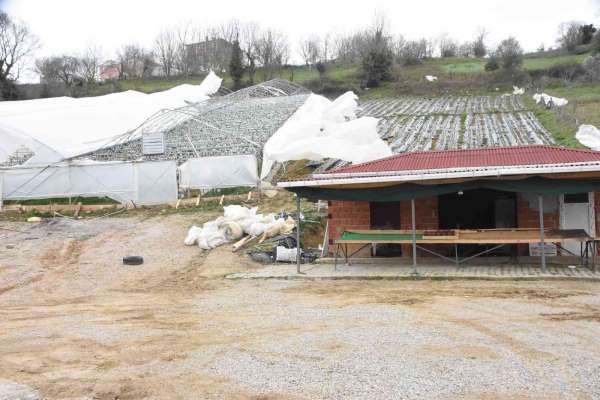 Sinop'ta şiddetli fırtınada çilek serası yıkıldı